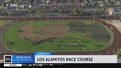 videos pronosticos 2019 registration|Los Alamitos Race Course.